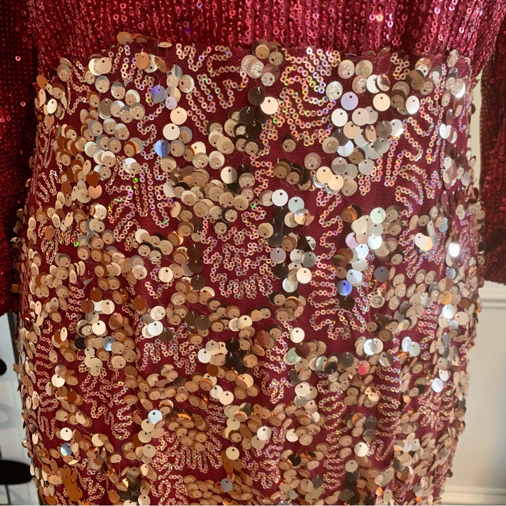 Bee Queen by Raseda Sequined Long Dress - Picture 7 of 11